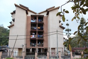 Cameron Highlands-005